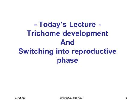 11/05/01BMB/BIOL/ENT 4301 - Today’s Lecture - Trichome development And Switching into reproductive phase.