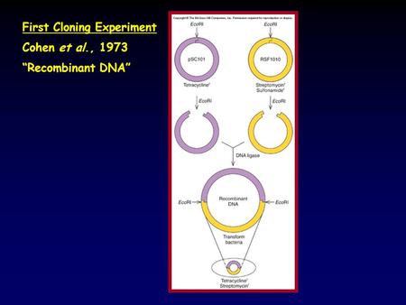 First Cloning Experiment