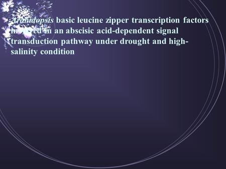 Arabidopsis basic leucine zipper transcription factors involved in an abscisic acid-dependent signal transduction pathway under drought and high- salinity.