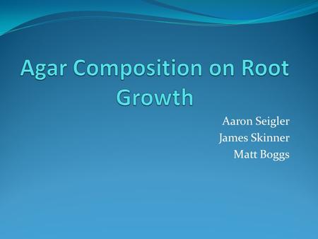 Aaron Seigler James Skinner Matt Boggs. Hypothesis The greater the density of an agar solution that Arabidopsis thaliana (Columbia) seeds are cultivated.