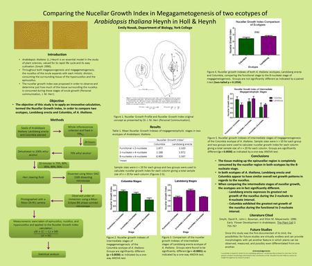 Comparing the Nucellar Growth Index in Megagametogenesis of two ecotypes of Arabidopsis thaliana Heynh in Holl & Heynh Emily Novak, Department of Biology,