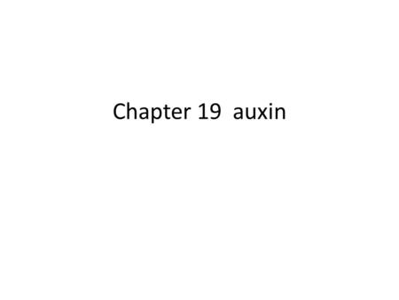 Chapter 19 auxin.