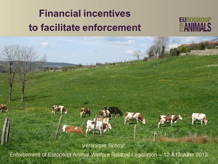 Financial incentives to facilitate enforcement Véronique Schmit Enforcement of European Animal Welfare Related Legislation – 12 &13 June 2012.