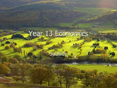 Year 13 Economics Subsidy.