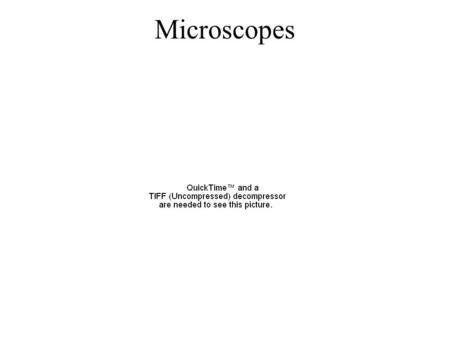 Microscopes. Correct Microscope Parts 1.Eyepiece 2.Body tube 3.Revolving nosepiece 4.Low-power objective 5.Hi-power objective 6.Stage 7.Stage clips 8.Base.