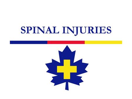 SPINAL INJURIES. 2 Spine  7 Cervical  12 Thoracic  5 Lumbar  5 Sacral  4 Coccyx.