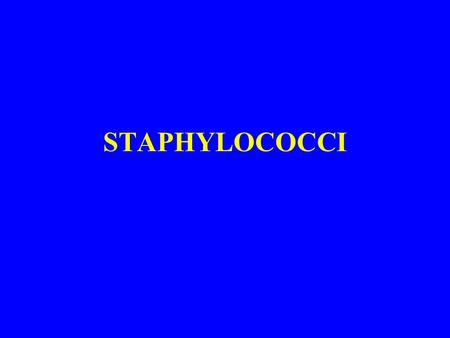 STAPHYLOCOCCI.