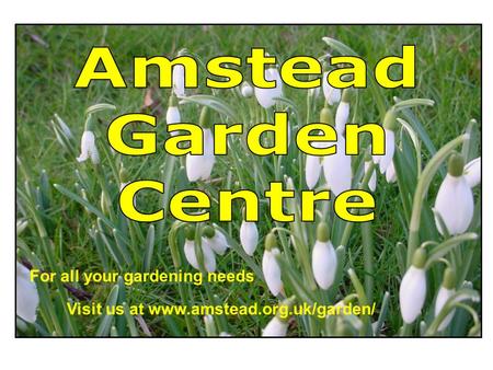 For all your gardening needs Visit us at www.amstead.org.uk/garden/