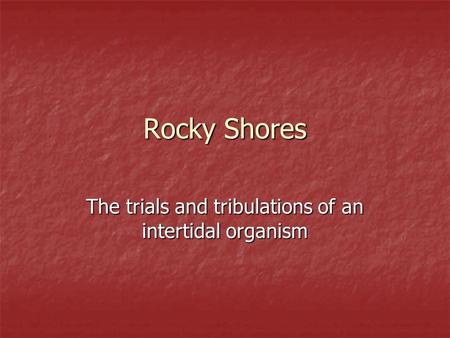 Rocky Shores The trials and tribulations of an intertidal organism.