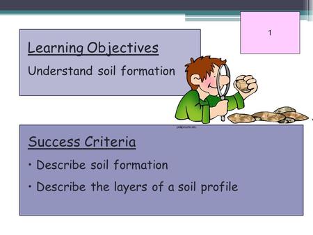 Learning Objectives Success Criteria Understand soil formation