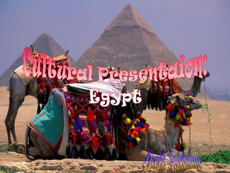 Most Egyptians worked as field hands, farmers, craftsmen, and scribes Few were nobles Daily life depended on the Nile River which provided rich soil.