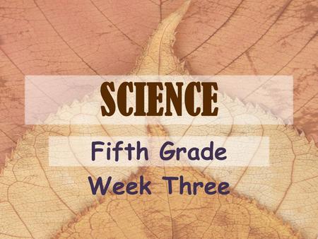 SCIENCE Fifth Grade Week Three. Constructive processes create landforms. Is a volcanic eruption or weathering a constructive force?