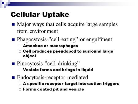 Cellular Uptake Major ways that cells acquire large samples from environment Phagocytosis-”cell-eating” or engulfment  Amoebae or macrophages  Cell produces.