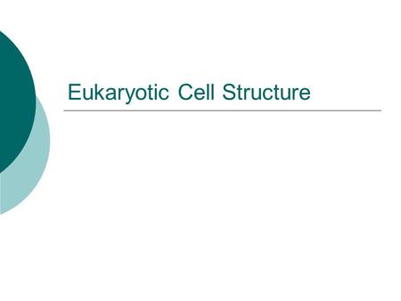 Eukaryotic Cell Structure