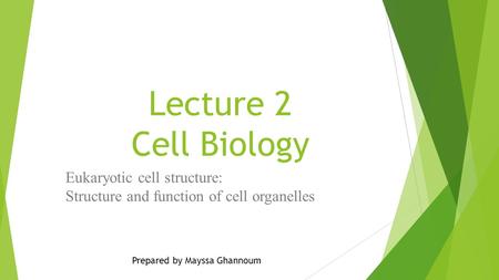 Lecture 2 Cell Biology Eukaryotic cell structure: Structure and function of cell organelles Prepared by Mayssa Ghannoum.