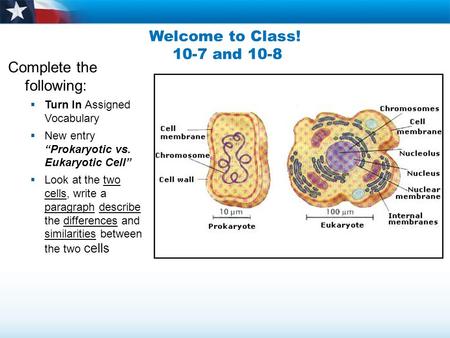 Welcome to Class! 10-7 and 10-8 Complete the following:  Turn In Assigned Vocabulary  New entry “Prokaryotic vs. Eukaryotic Cell”  Look at the two cells,