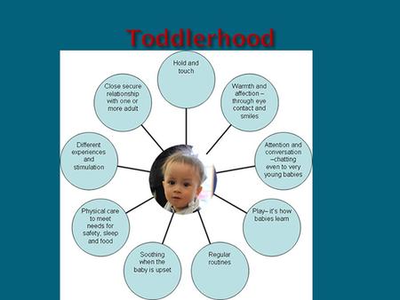  12 months to three years  Growth rate slows down  3 inches a year, 4-6 pounds a year  Body becomes more proportionate  Bones gradually harden or.