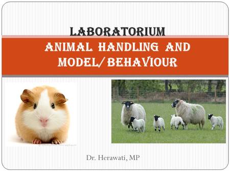 LABORATORIUM ANIMAL HANDLING AND MODEL/ BEHAVIOUR Dr. Herawati, MP.