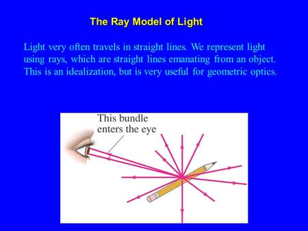 Light very often travels in straight lines. We represent light using rays, which are straight lines emanating from an object. This is an idealization,