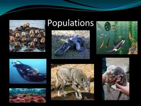 Populations. Context Word Maps Lesson 2 Population Density Immigration Emigration Exponential Growth Logistic Growth Carrying Capacity You will create.