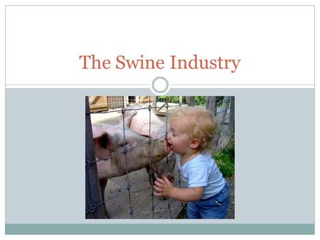 The Swine Industry. Objectives Understand importance of the swine industry Overview of the structure of the swine industry Become familiar with terms.