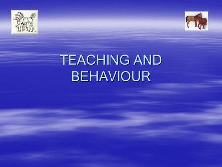 TEACHING AND BEHAVIOUR. The group  Hi I am Carrie I am introducing the group.  Jade on my right is 11 years old and comes from ST.Matthews.  And on.