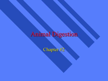 Animal Digestion Chapter #2. What are Nutrients? n parts of food which provide for growth, maintenance, body functions n Carbohydrates (CHO) n Fats n.