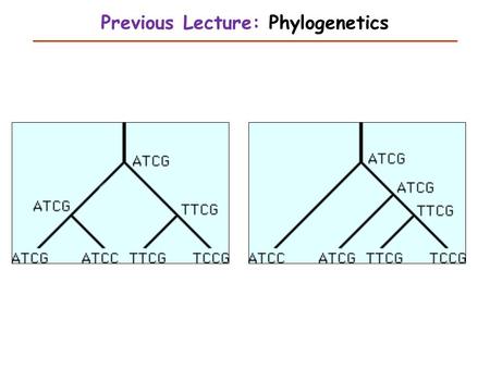 Previous Lecture: Phylogenetics. Analysis of Variance This Lecture Judy Zhong Ph.D.