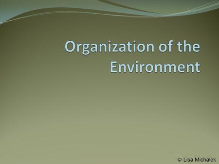 Organization of the Environment