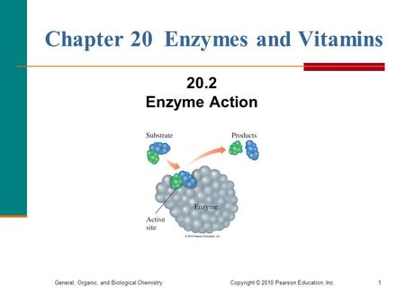 General, Organic, and Biological Chemistry Copyright © 2010 Pearson Education, Inc.1 Chapter 20 Enzymes and Vitamins 20.2 Enzyme Action.