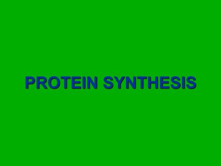 PROTEIN SYNTHESIS.