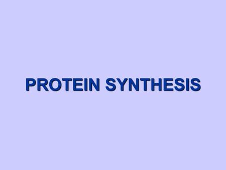 PROTEIN SYNTHESIS.