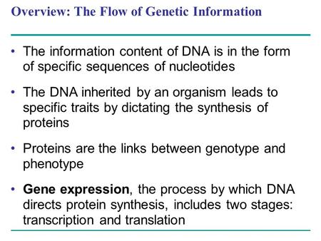 Overview: The Flow of Genetic Information