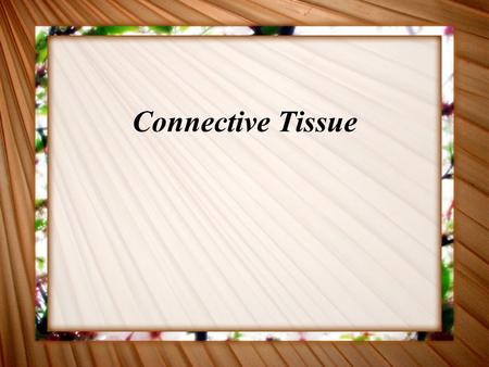 Connective Tissue.