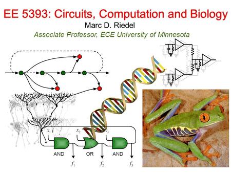 Marc D. Riedel Associate Professor, ECE University of Minnesota EE 5393: Circuits, Computation and Biology ORAND.