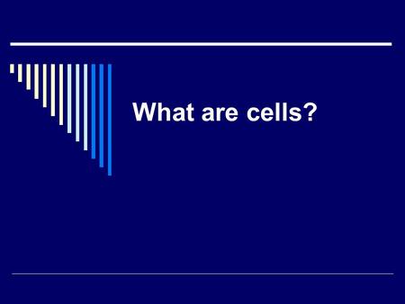 What are cells?. Today, You’re going to learn about cells.