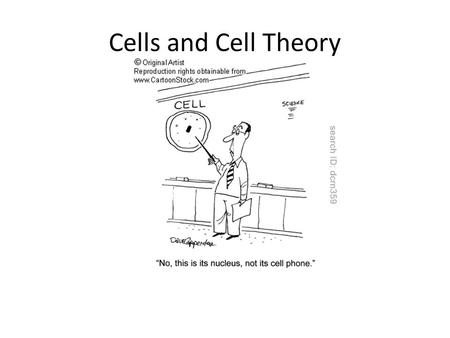 Cells and Cell Theory. Early Microscopes Robert Hooke built a microscope in 1665 He looked at cork from trees and saw tiny boxes. He called them cells.