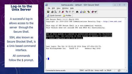 Log-in to the Unix Server A successful log-in allows access to the server through the Secure Shell. SSH, also known as Secure Shocket Shell, is a Unix.