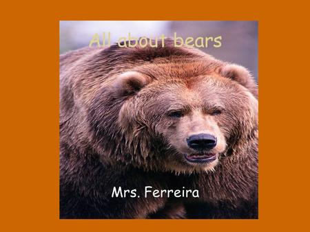 All about bears Mrs. Ferreira. Are all bears mammals and do they live all over the World? All bears are not the same They can look different Live in different.