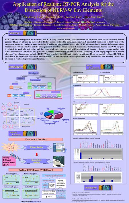 HERVs (Human endogenous retroviruses) and LTR (long terminal repeat) - like elements are dispersed over 8% of the whole human genome. There are at least.