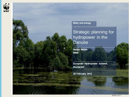 18-Nov-15 / 1 Strategic planning for hydropower in the Danube Sergiy Moroz WWF European Hydropower Summit, Bucharest 28 February 2012 Water and energy.