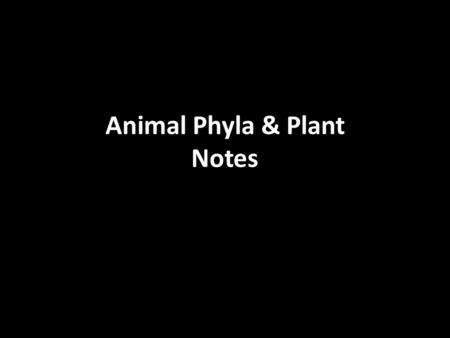 Animal Phyla & Plant Notes. Define the following Animal Phyla, state whether they’re endothermic or ecothermic at the end of the Animal Phyla Slides Mammal.