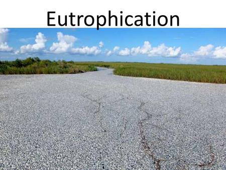 Eutrophication. What is eutrophication? Eutrophication - the process by which a body of water becomes enriched in dissolved nutrients that stimulate the.