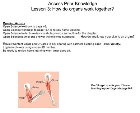 Access Prior Knowledge Lesson 3: How do organs work together? Opening Activity Open Science textbook to page 46. Open Science workbook to page 15A to review.