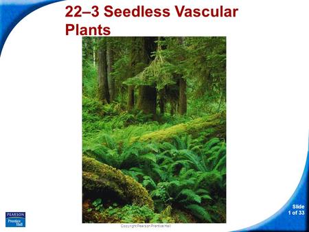 Slide 1 of 33 Copyright Pearson Prentice Hall 22–3 Seedless Vascular Plants.