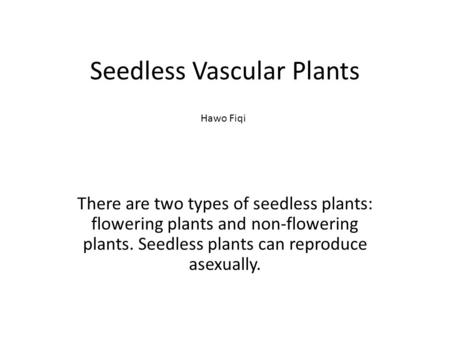 Seedless Vascular Plants