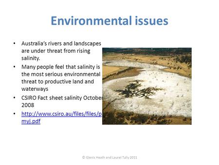 Environmental issues Australia’s rivers and landscapes are under threat from rising salinity. Many people feel that salinity is the most serious environmental.