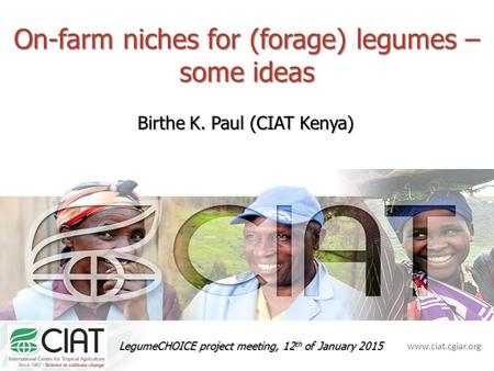 Www.ciat.cgiar.org On-farm niches for (forage) legumes – some ideas Birthe K. Paul (CIAT Kenya) LegumeCHOICE project meeting, 12 th of January 2015.