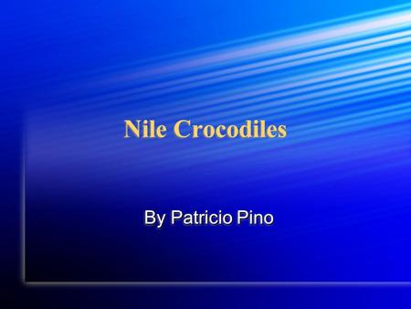 Nile Crocodiles By Patricio Pino For the past few weeks I’ve been studying the Nile crocodile. In the coming few pages I will tell you the main facts.