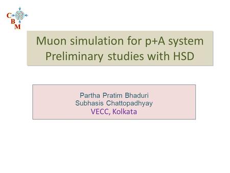 Muon simulation for p+A system Preliminary studies with HSD Partha Pratim Bhaduri Subhasis Chattopadhyay VECC, Kolkata.